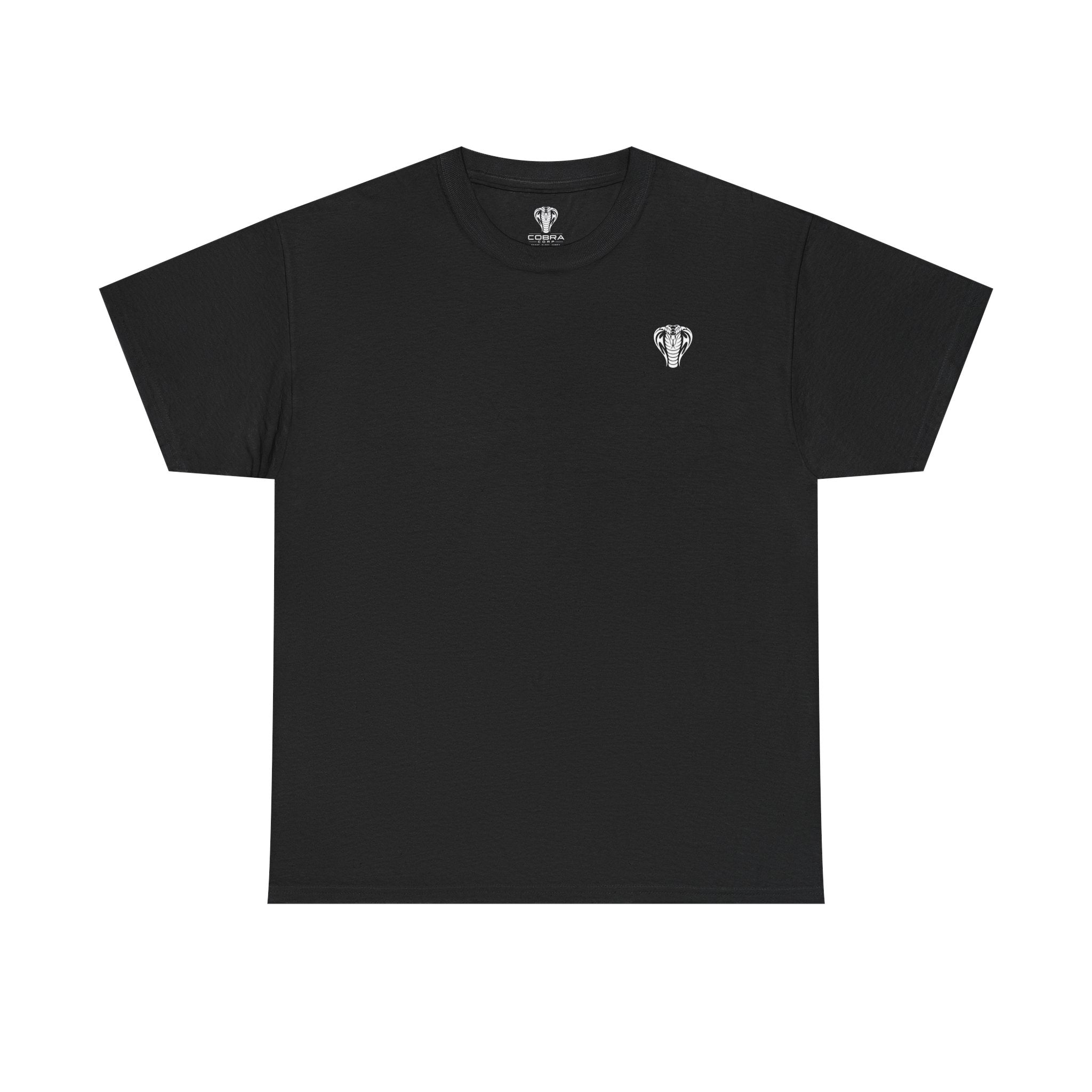 Valor Knight Warden One Tee — Minimal Crowned Knight Helmet Graphic T-Shirt