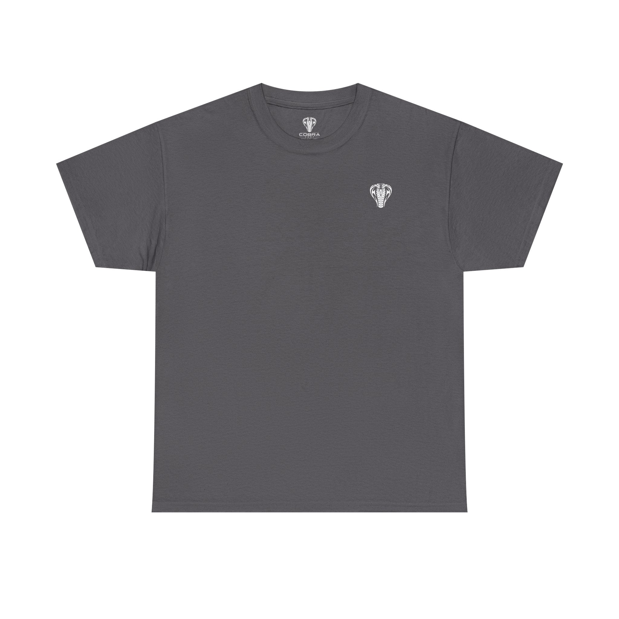 Valor Knight Warden One Tee — Minimal Crowned Knight Helmet Graphic T-Shirt